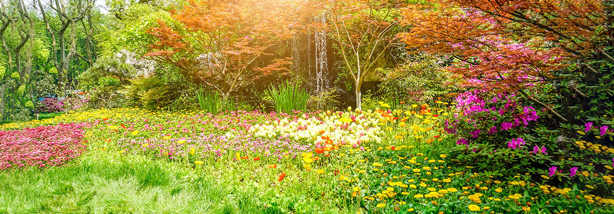 Green Life image