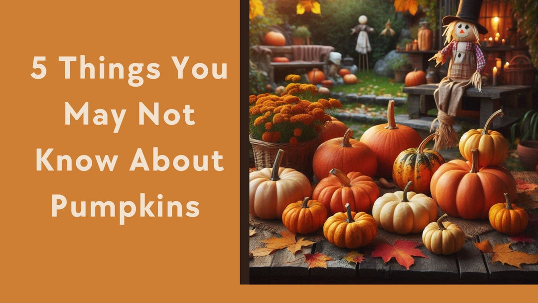 5 Things You May Not Know About Pumpkins